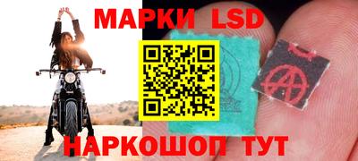 ПСИЛОЦИБИНОВЫЕ ГРИБЫ Канаш